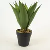 Planta Yucca 35cm - Color Unico en Multicolor - Muebles para el exterior, Uruguay | Indian, vista 1 de 4