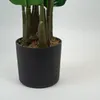Planta Alocasia - Color Unico en Multicolor - Muebles para el exterior, Uruguay | Indian, vista 3 de 4