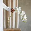 Tallo Orquídea blanco - Decoración, Uruguay | Martinika Deco, vista 7 de 12