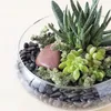 CENTRO DE MESA GRANDE D23/H9.0CM SELECTA - Jarrones, Uruguay | Koz, vista 2 de 4
