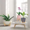 MACETA C/BASE MADERA 38X20CM TRYAS BLANCO - Macetas, Uruguay | Decohogar, vista 3 de 5