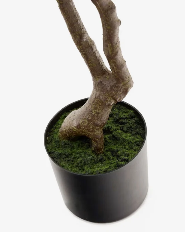 Árbol artificial Pachira con maceta negra 180 cm en Madera natural - Macetas, Uruguay | Kavehome, vista 3