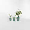 MACETERO FRIDA Celeste Medium - Decoración, Uruguay | Viasono, vista 3 de 3