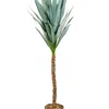 Planta Mandioca 110cm - Color Unico en Multicolor - Muebles para el exterior, Uruguay | Indian, vista 4 de 4