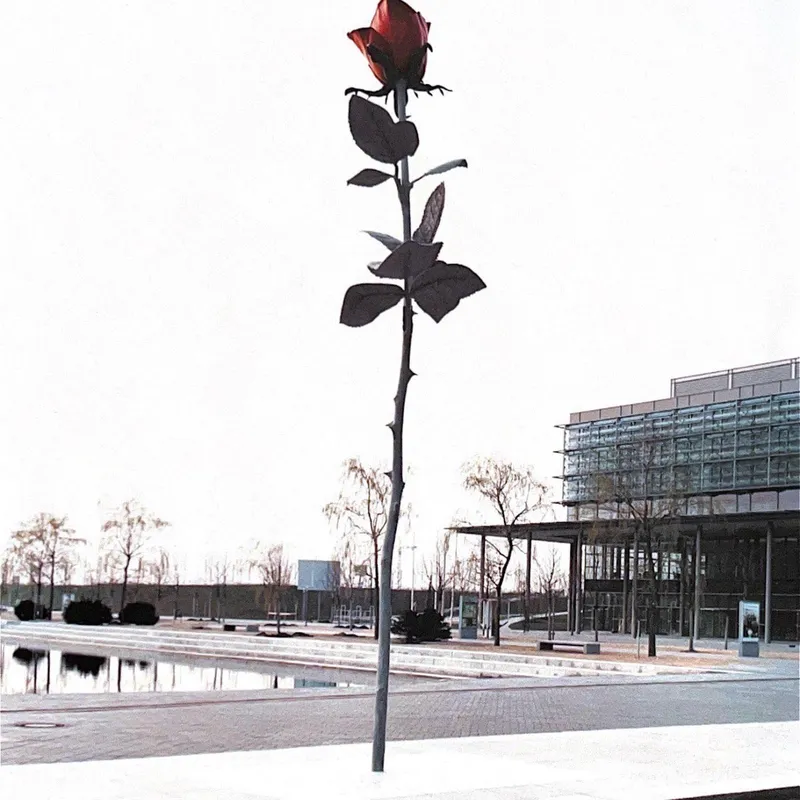 Urban Rose - Láminas, Uruguay | Mara Estudio