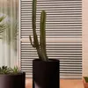 Macetero Aiguablava de cemento - negro Ø 52 cm en Negro - Macetas, Uruguay | Kavehome, vista 2 de 4