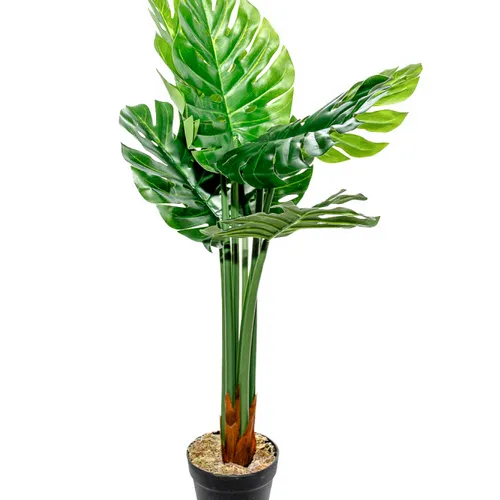 Planta Monstera 85cm - Color Unico en Multicolor - Muebles para el exterior, Uruguay | Indian