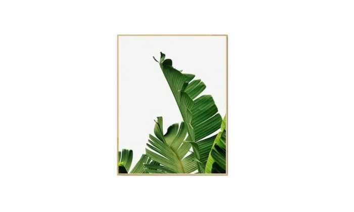 Marco Natural Banana Leaves I en Madera natural - Decoración de pared, Uruguay | Finkel
