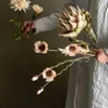 Tallo Protea natural - Decoración, Uruguay | Martinika Deco, vista 7 de 10