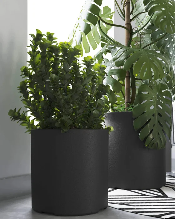 Macetero Cilindro 30 Negro Alto 30cm x 30cm diametro, 20 lts en Negro - Macetas, Uruguay | Champagne Home, vista 3