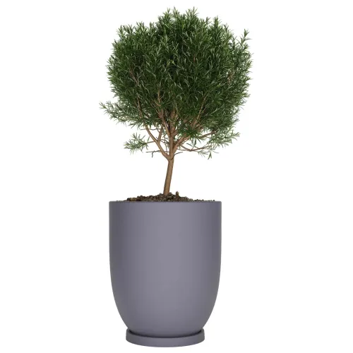 Macetero Copa 40 Gris c/ Plato Alto 40cm x 47cm Diam Boca, 25lts en Gris - Macetas, Uruguay | Champagne Home