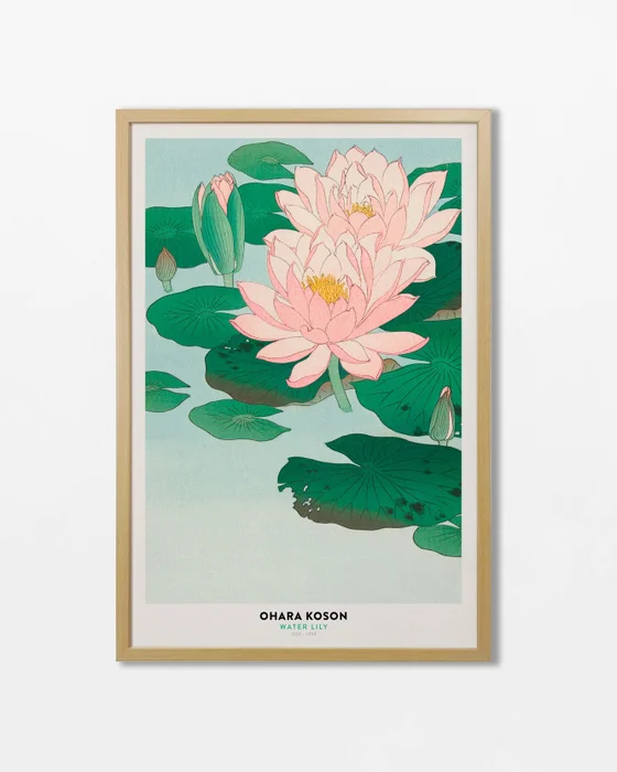 Ohara Koson - Water Lily - Láminas, Uruguay | La Cuadrería