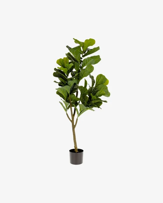 Planta artificial Ficus con maceta negro 150 cm en Verde - Macetas, Uruguay | Kavehome