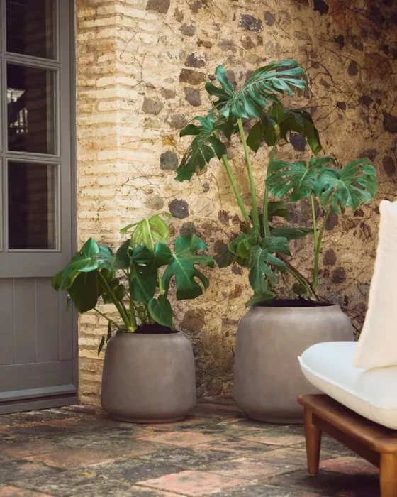 Macetero Lira de efecto terracota - Ø53 cm en Gris - Macetas, Uruguay | Kavehome, vista 2