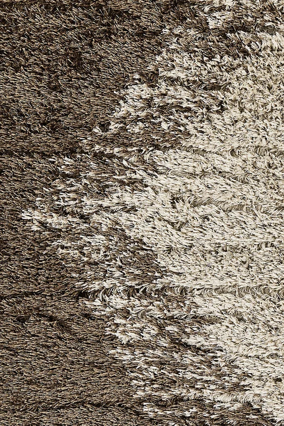 ALFOMBRA SKIN 160X230 BEIGE/MOCHA en Multicolor - Alfombras, Uruguay | Vinibel, vista 2