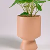 Planta artificial Bailey con maceta de cerámica rosa 21,6 cm en Rosa - Macetas, Uruguay | Kavehome, vista 5 de 7