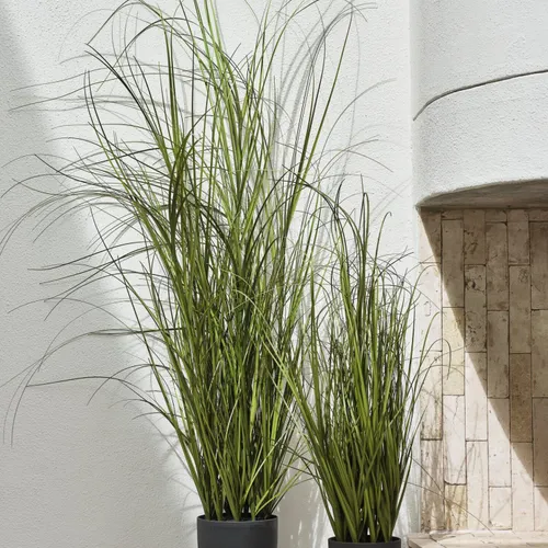 Planta artificial MARKUSFLUE H90cm gramínea en Verde - Muebles para el exterior, Uruguay | JYSK