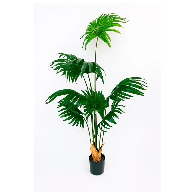 Planta Artificial Palma 160cm en Negro - Macetas, Uruguay | Alta Gracia Deco