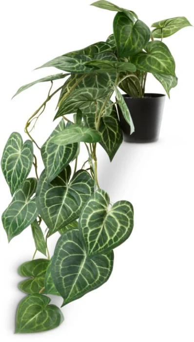 Planta artificial KNOPPSVANE Al30cm verde en Verde, Uruguay | JYSK