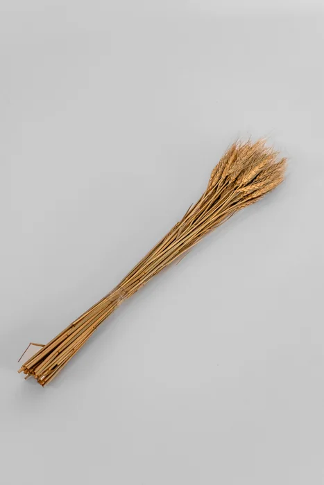 Deco Floral Ramo Wheat Grass Natural - Color Unico en Multicolor - Decoración, Uruguay | Indian