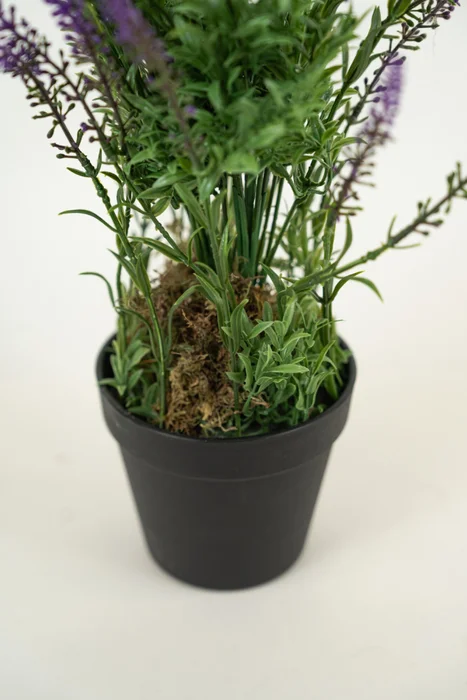 Planta Lavender 48cm - Color Unico en Multicolor - Muebles para el exterior, Uruguay | Indian, vista 3