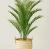 Palmera en Negro - Decoración, Uruguay | Indrana, vista 1 de 3
