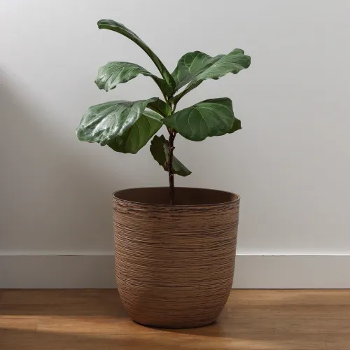 Maceta Rayas 35 - Macetas, Uruguay | Tiendas Montevideo