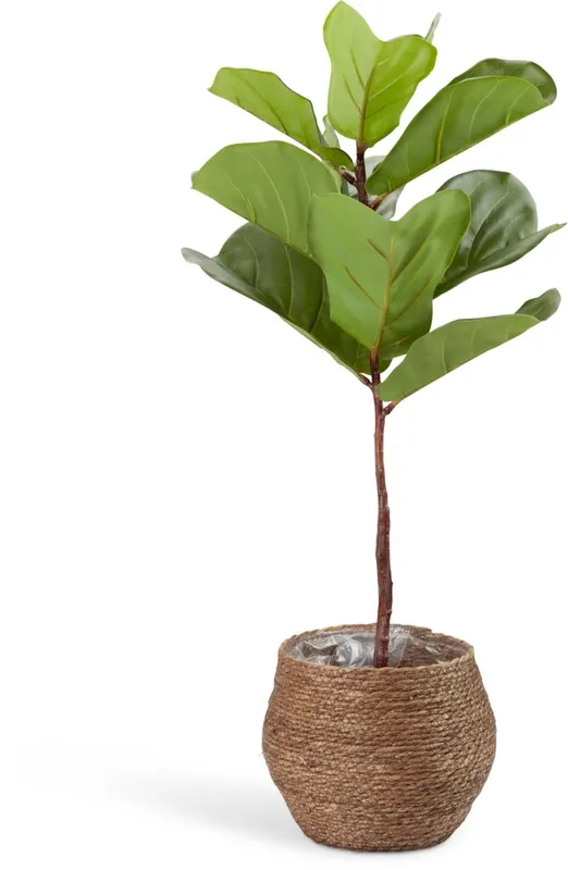 Maceta SIVERT Ø26xA23cm marrón en Marrón - Macetas, Uruguay | JYSK