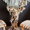 Jarrón de vidrio con base de raíz – Diámentro 25cm - Decoración, Uruguay | Balihai, vista 1 de 3
