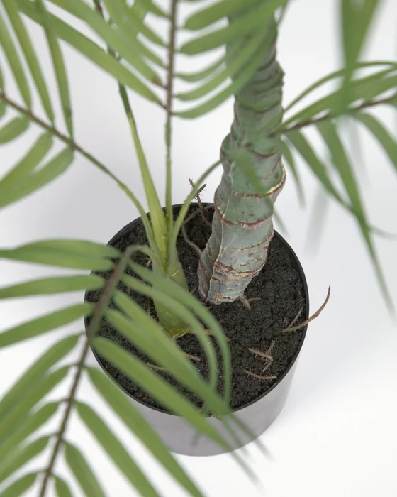 Planta artificial Palmera con maceta negro 70 cm en Negro - Macetas, Uruguay | Kavehome, vista 3