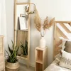Espejo Rita en Madera natural - Espejos, Uruguay | Treehouse Deco, vista 1 de 7