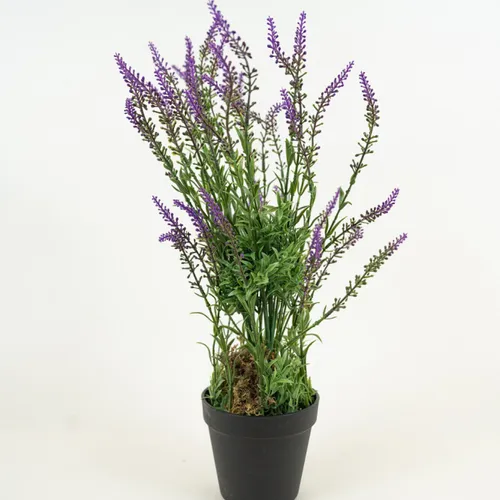 Planta Lavender 48cm - Color Unico en Multicolor - Muebles para el exterior, Uruguay | Indian