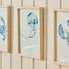 Cuadro Mar - Medusa en Azul, Blanco, Natural - Decoración de pared, Uruguay | Walnut, vista 1 de 2