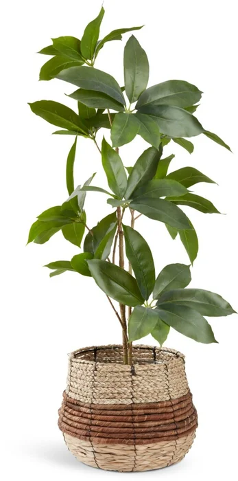 Maceta TERJE Ø25xA23cm natural en Madera natural - Macetas, Uruguay | JYSK