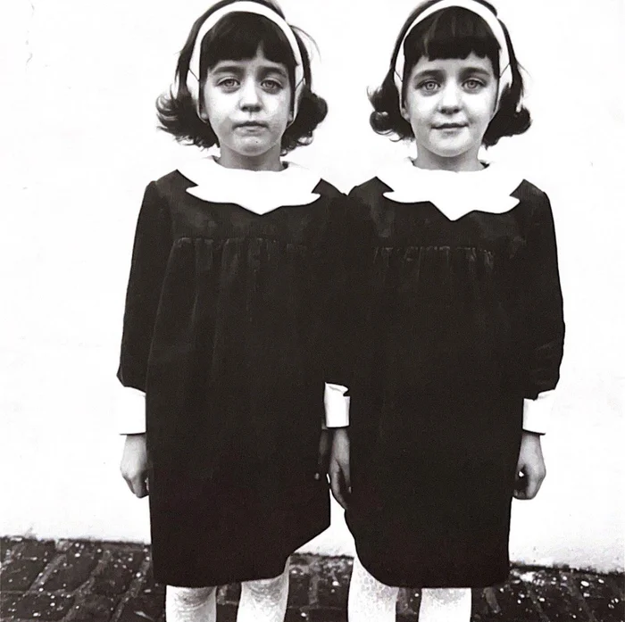The Twins — Diane Arbus 1967 en Negro - Láminas, Uruguay | Mara Estudio