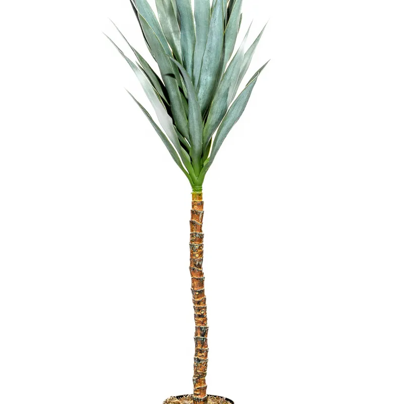 Planta Mandioca 110cm - Color Unico en Multicolor - Muebles para el exterior, Uruguay | Indian