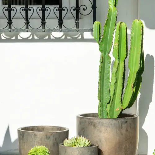 Kate Bronce - Macetas, Uruguay | Balcony