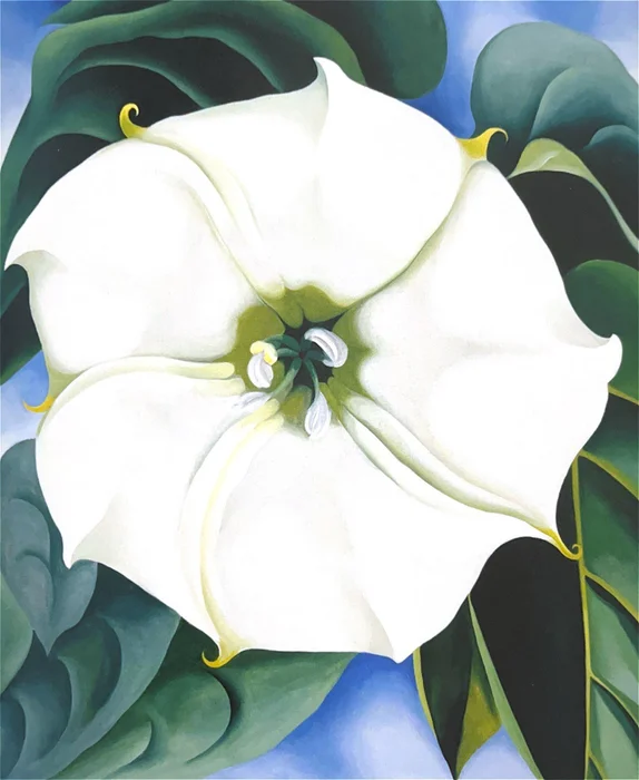 White Flower en Blanco - Láminas, Uruguay | Mara Estudio