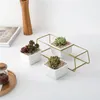 3 MACETAS CERAMICA 28x10x10CM BLANCO/DORADO en Blanco - Macetas, Uruguay | Koz, vista 3 de 4