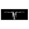 CUADRO 90x30cm MARCO BAILARINA FONDO NEGRO 2 en Negro - Decoración de pared, Uruguay | Decohogar, vista 1 de 2