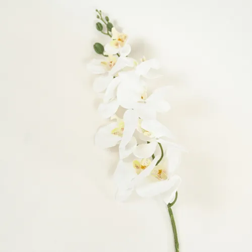 Flor Orquídea Phalaenopsis - Color Unico en Multicolor - Muebles para el exterior, Uruguay | Indian