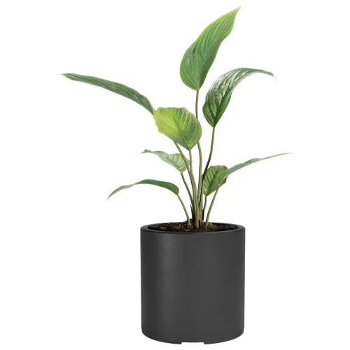Macetero Cilindro 30 Negro Alto 30cm x 30cm diametro, 20 lts en Negro - Macetas, Uruguay | Champagne Home
