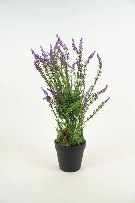 Planta Lavender 48cm - Color Unico en Multicolor - Muebles para el exterior, Uruguay | Indian