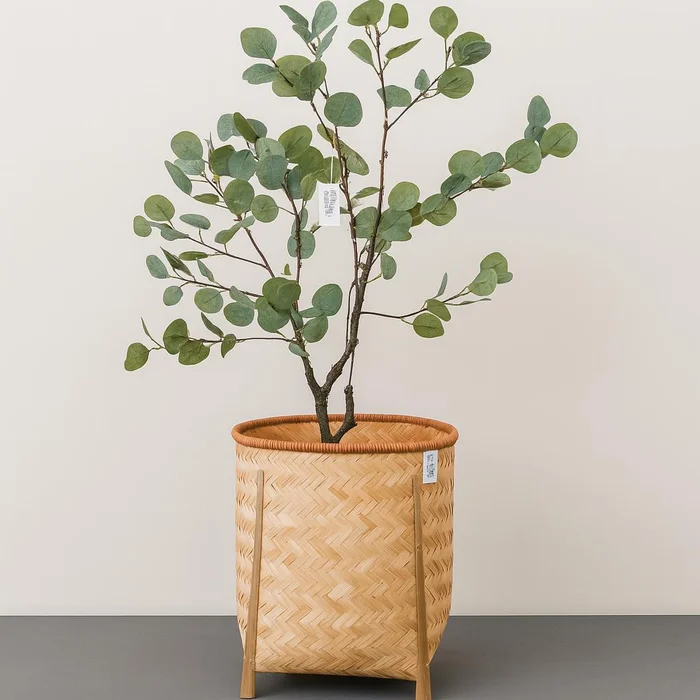 Eucalyptus en Negro - Decoración, Uruguay | Indrana