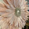 Decoración circulo plumas rosa en Rosa - Decoración, Uruguay | Balihai, vista 2 de 2
