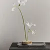 SOPORTE FLORES KENZAN - Jarrones, Uruguay | Zara Home, vista 1 de 7