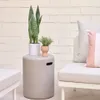 Planta artificial Sansevieria con maceta blanco 55 cm en Blanco, Uruguay | Kavehome, vista 2 de 6