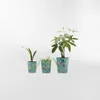 MACETERO FRIDA Celeste Small - Decoración, Uruguay | Viasono, vista 3 de 3