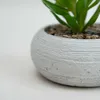 Planta Quovi - Estampado 2 en Multicolor - Decoración, Uruguay | Indian, vista 2 de 2