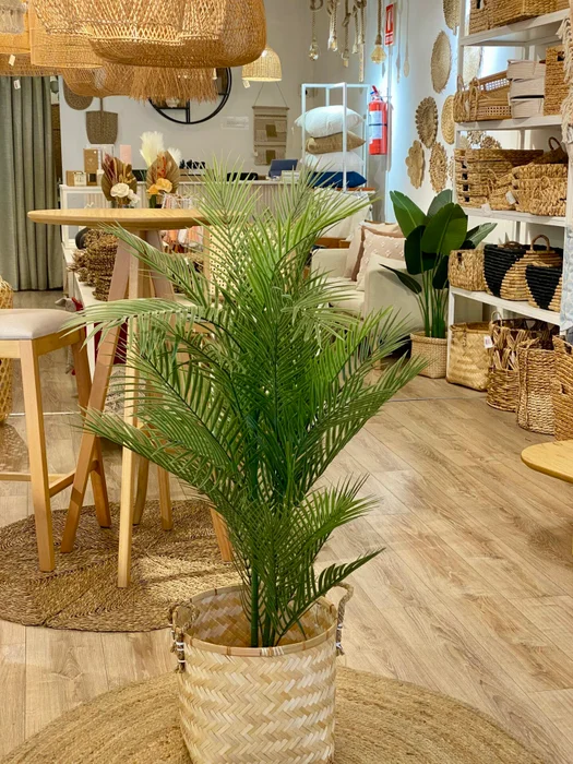 Palmera en Negro - Decoración, Uruguay | Indrana, vista 3